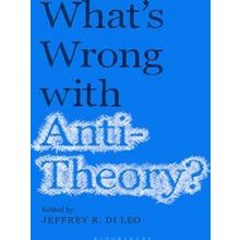 What's Wrong With Antitheory