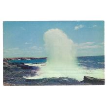 THE NEW ENGLAND COAST, MASSACHUSETTS, USA unused vintage postcard =