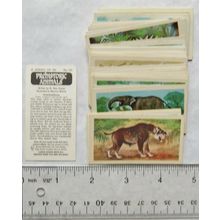 1972 complete set 50 Brooke Bond Prehistoric Animals - loose