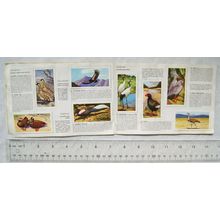 Complete set 50 Brooke Bond Wildlife in Danger in album