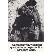 Cigarette Tobacco Production In The Third World Shocking Real Photo Postcard