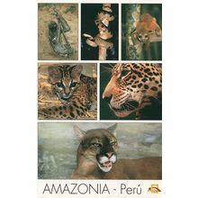 Amazonia Peru Forest Deadly Snake Cat Tiger Monkey Postcard