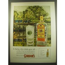 1960 Gordon's Gin Ad - In spring, when drinks grow tall