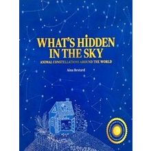 What's Hidden in the Sky