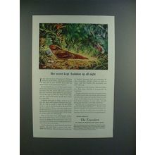 1946 Travelers Insurance Ad w/ Chuck-Will's-Widow