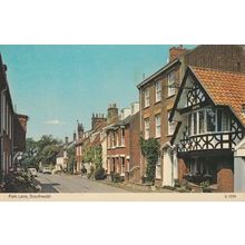 Southwold Park Lane 1970s Ladder Up Tree Photo Postcard