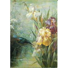 Art MARIE LOW Irises and Kingfisher Postcard (Medici 2011)