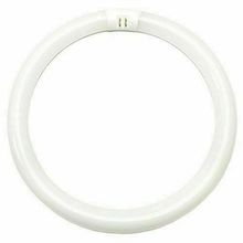 Fluorescent Tube Ligt Bulb 20113 - FC8T9/DCW/RP Circular T9