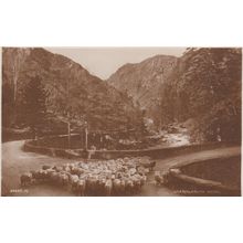 ED 432 ABERGLASLYN PASS. PRINTED POSTCARD