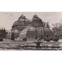 Wien Schonbrunn Palmerhaus Real Photo Postcard