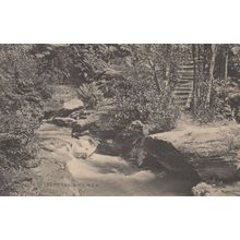 Foot Of The Cascades New South Wales Antique Australia Postcard