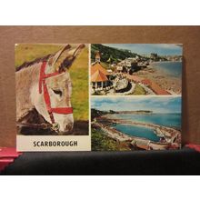 multiview, SCARBOROUGH, vintage used postcard donkey 1968 postmark =