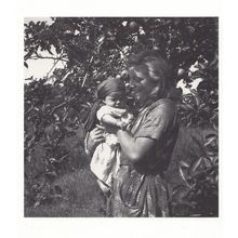 Plum Trees Saving Preservation Crop 1942 WW2 Photo Postcard
