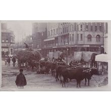 Sapsco African Antique Real Photo Postcard