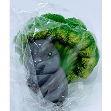 Vegetable Fairy Ground Hog Brocolli Figurine