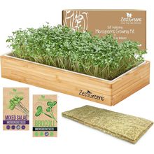 Self-Watering Microgreens Growing Kit – Easiest Way to Grow Fresh Microgreens at