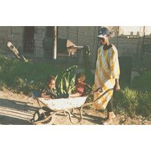 Squatter Camp Planting Work Cape Town South Africa Postcard
