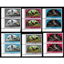 Sharjah Birds Airmail 6v Bottom Corner pairs with margins 1965 MNH