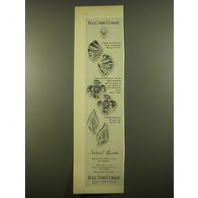 1961 Black Starr & Gorham Earclips Jewelry Advertisement - Sea Shells, Dogwood