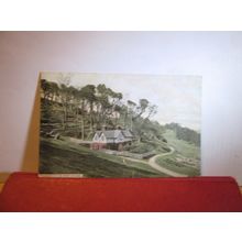 BEECHWOOD COTTAGE, MOUNT EDGCOMBE, PLYMOUTH, DEVON used postcard 1909 pm =