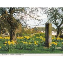 Knaresborough Old Pump In Follifoot Yorkshire Village Postcard