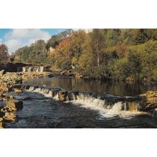 Wainworth Force River Near Keld Yorkshire Large Postcard