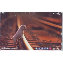 Puppy On Rail Track Japan NTT Phone Card