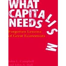 What Capitalism Needs