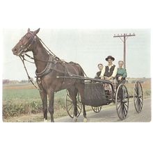 "LEB' WOHL" AMISH BOY, PENNSYLVANIA, USA unused American vintage postcard #