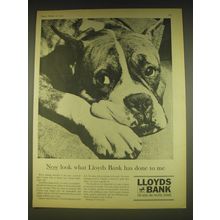 1963 Lloyds Bank Ad - Now look what Lloyds Bank has done to me