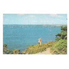 POOLE HARBOUR, DORSET unused vintage postcard by J. Salmon #