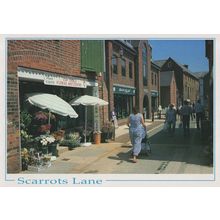 Scarrots Lane Flower Shop Isle Of Wight Florists Postcard