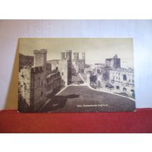 CARNARVON CASTLE antique unused postcard by Photochrom =