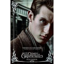 Fantastic Beasts_ The Crimes of Grindelwald (2018)_10 Movie Film Poster Canvas i