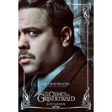 Fantastic Beasts_ The Crimes of Grindelwald (2018)_7 Movie Film Poster Canvas ic