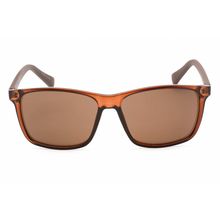 CALVIN KLEIN RETAIL CK19568S