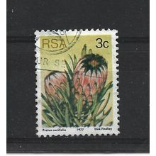 SouthAfrica.SG416 3c Protea Neriifolia.Fine Used.Sep25l