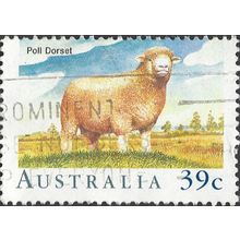 AUSTRALIA, MAMMAL, Poll Dorset Sheep, blue 1989, 39c