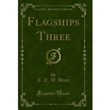 Flagships Three (Classic Reprint)