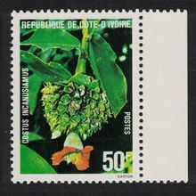 Ivory Coast Flower 'Costus incanusiamus' Margin 1980 MNH SG#624