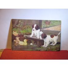 PUPPIES & DUCKLINGS, by B Cobbs antique postcard Tuck 'Oilette' =