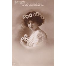 Daisy Blossoms Antique Flower Glamour Real Photo Postcard