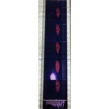 Dirty Harry. Pk MTP - C055c . 1 STRIP OF 5 - 35MM FILM CELLS MTP