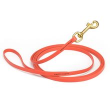 Dog Pet Leash Coral w/ Brass Hardware W 3/8" - L33'