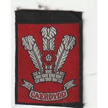 Scout Badge Wales Pre 1967?? - County - Caerdydd - Ribbon (BY250)