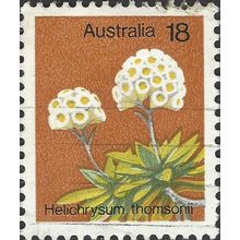 AUSTRALIA, FLOWER, Helichrysum Thomsonii, orange 1975, 18c, #5