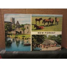 multiview, NEW FOREST.. used postcard 1963 postmark by John Hinde =