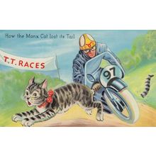 TT Races Isle Of Man How The Manx Cat Lost Its Tail Postcard