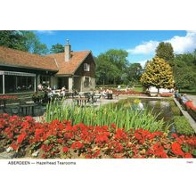 Aberdeen Hazelhead Tearooms Postcard