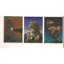 JIM WARREN ' SPECTRA insert set ' ( 1993 )